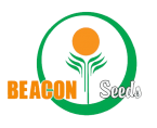 Beacon Seeds